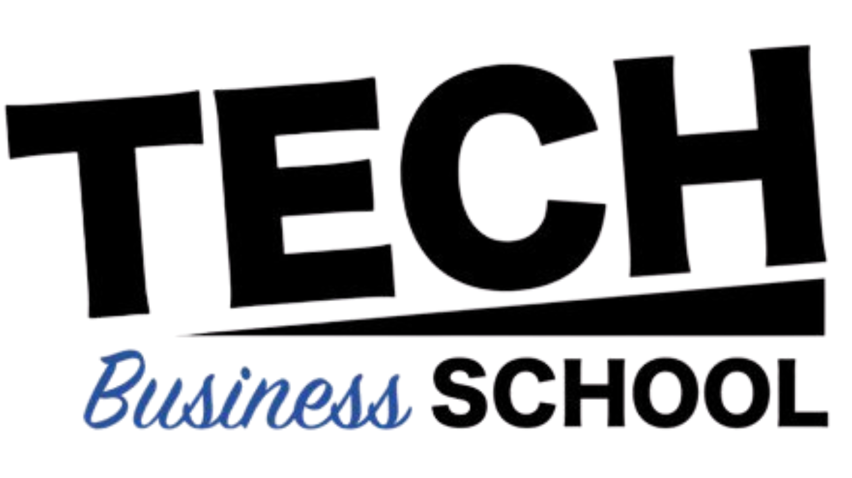 TECH and BUSINESS SCHOOL